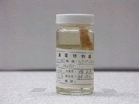 藏品(陳氏天竺鯛)的圖片